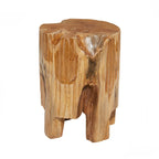Teak Wood Handmade Live Edge Tree Stump Accent Table - Brown - Roche River Decor - 12W x 12L x 16H