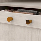 Armoire Modulable Moderne à Portes en Verre : Solution de Rangement pour Placard
